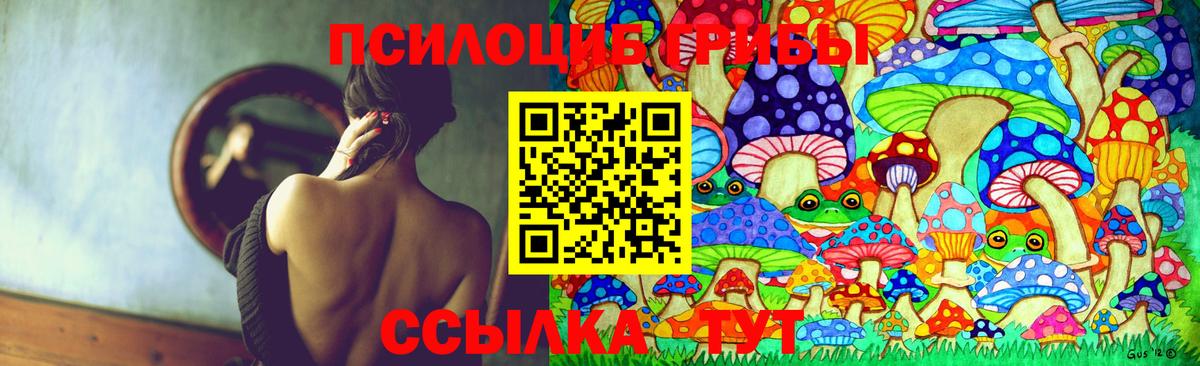 Галлюциногенные грибы GOLDEN TEACHER Кировск