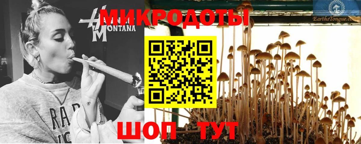 Псилоцибиновые грибы Cubensis  Вход с VPN  Кировск 